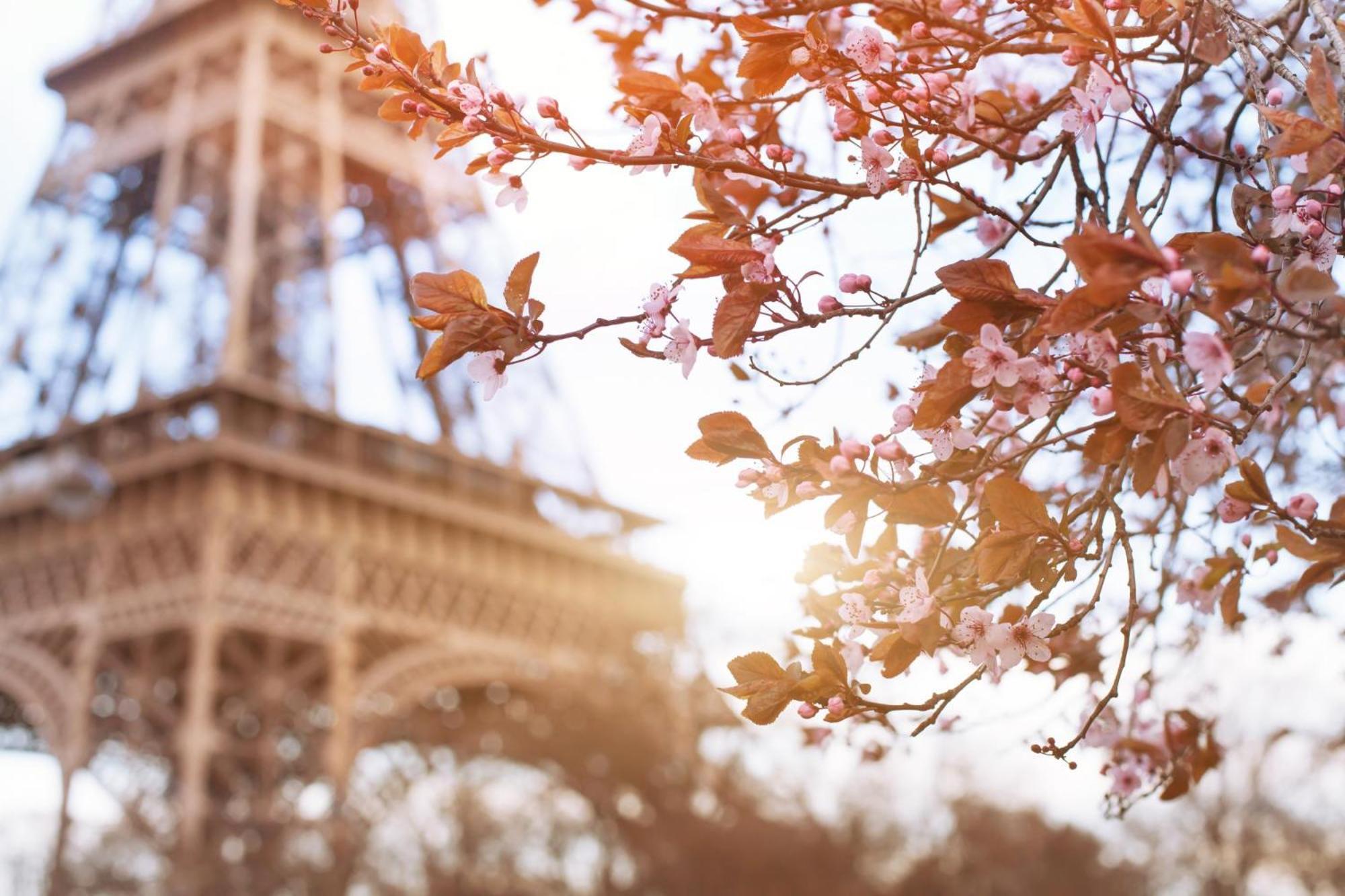 Timhotel Tour Eiffel Paris Exterior photo